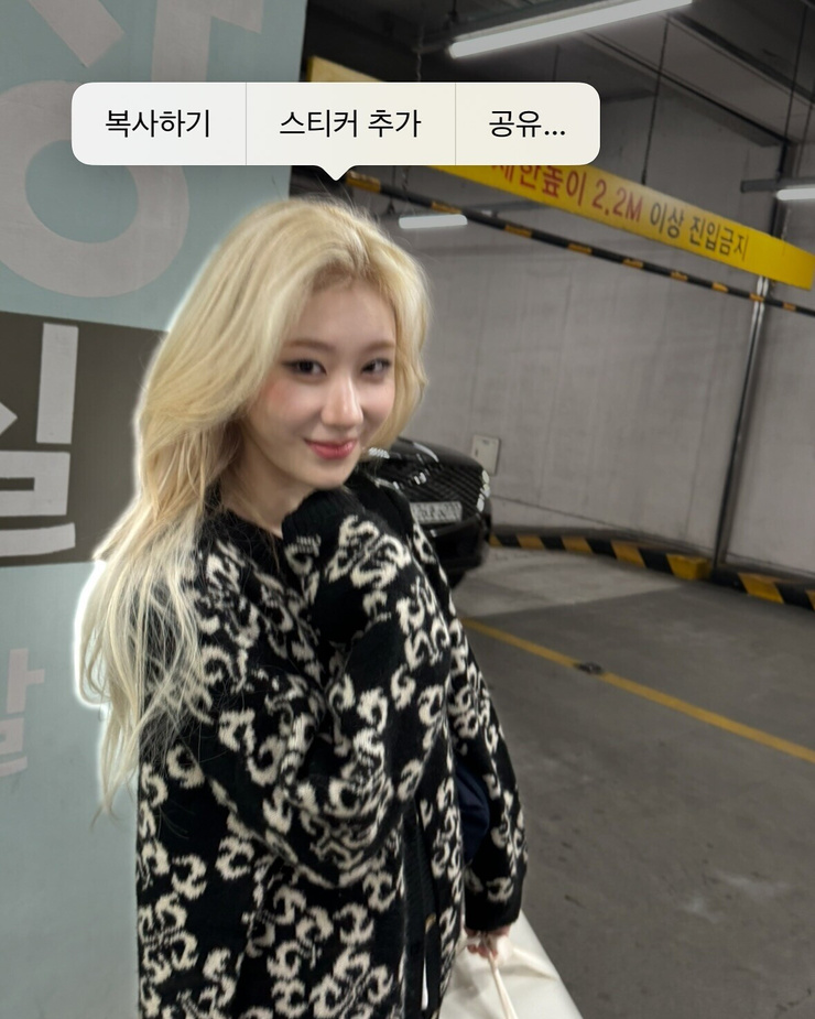 Lee Chaeryeong