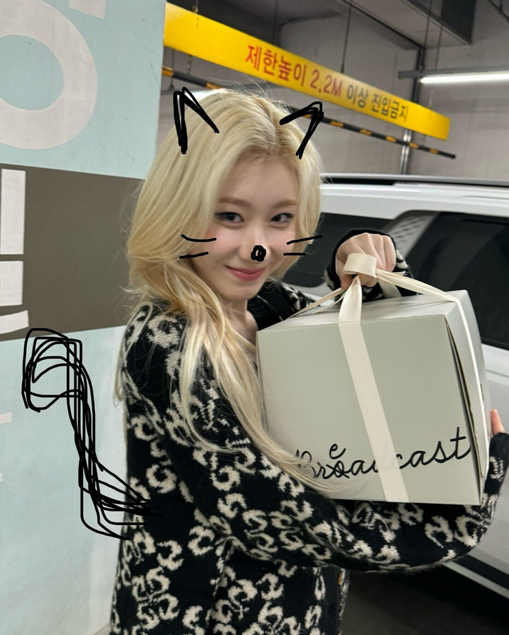 Lee Chaeryeong