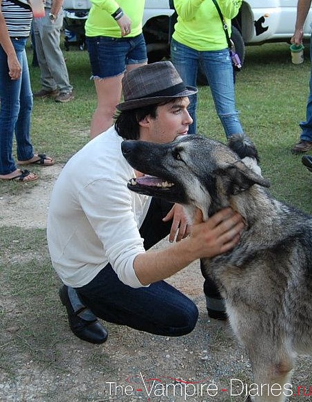 Ian Somerhalder