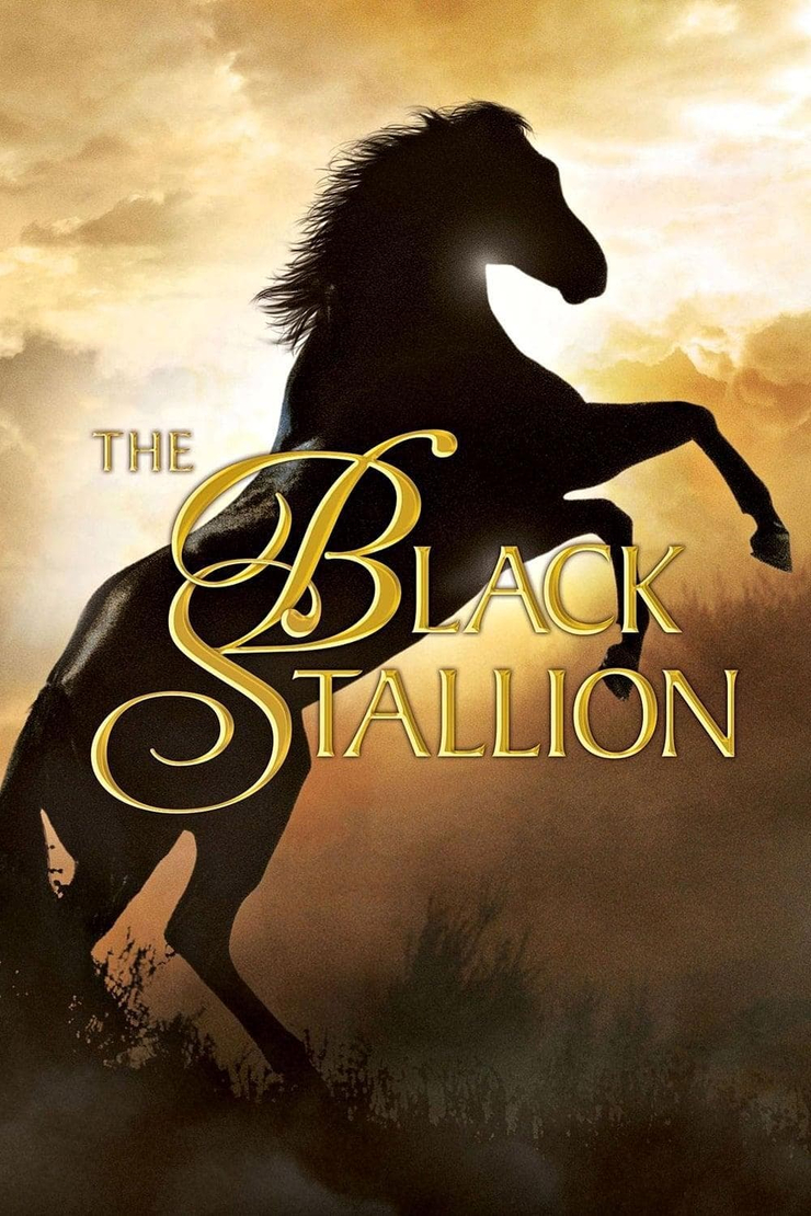 The Black Stallion