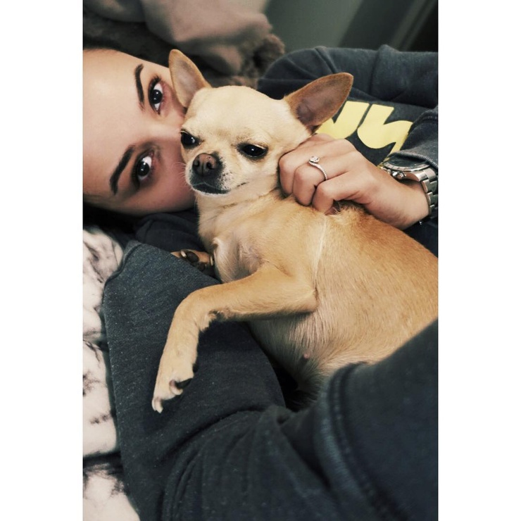Alizée