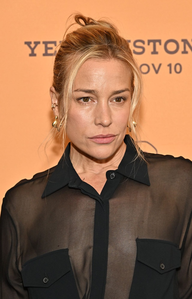 Picture of Piper Perabo