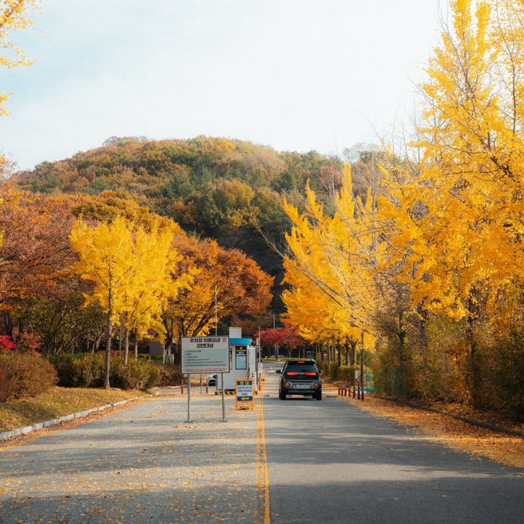 South Korea