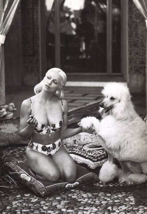 Madonna Madonna