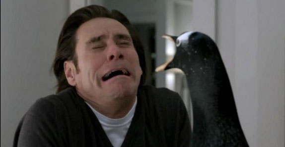 Mr. Popper's Penguins