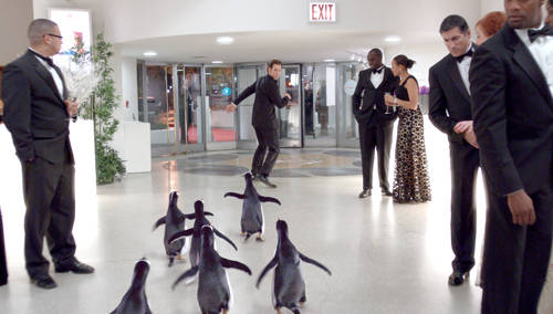 Mr. Popper's Penguins