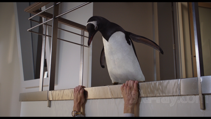 Mr. Popper's Penguins