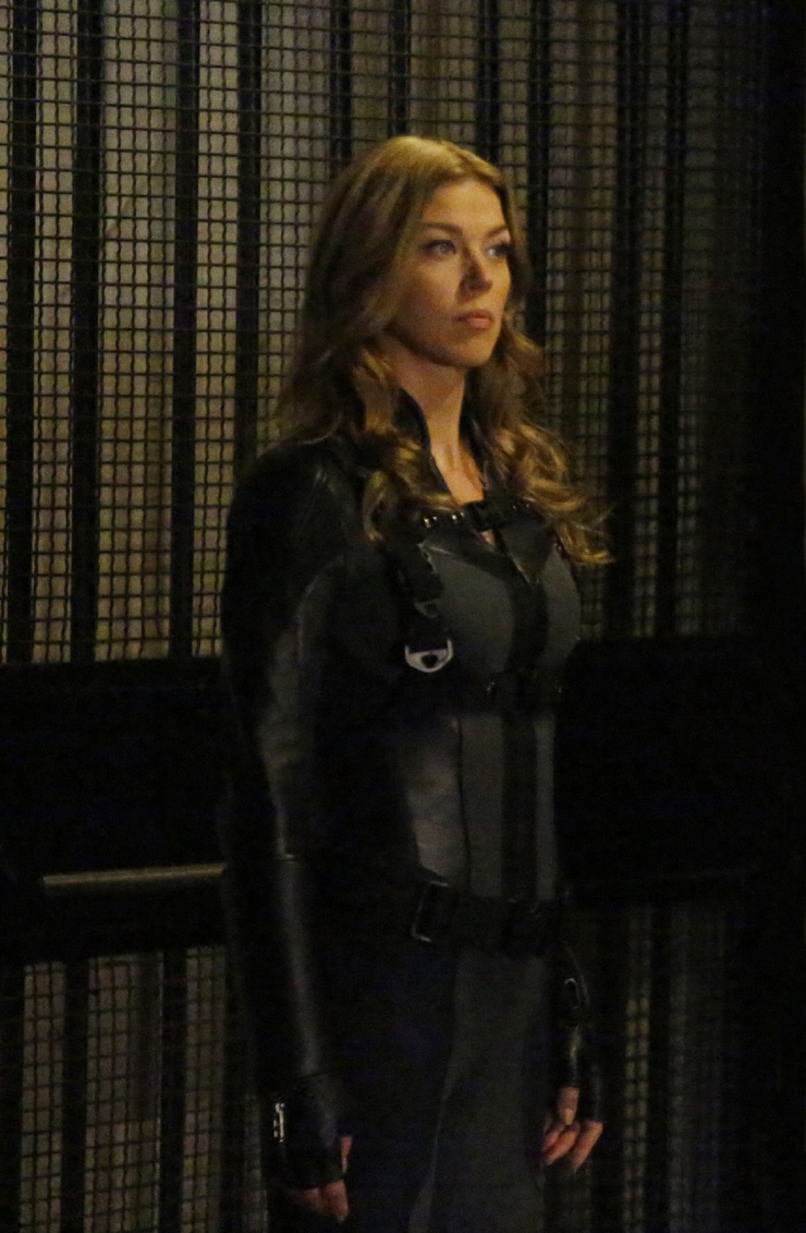 Adrianne Palicki
