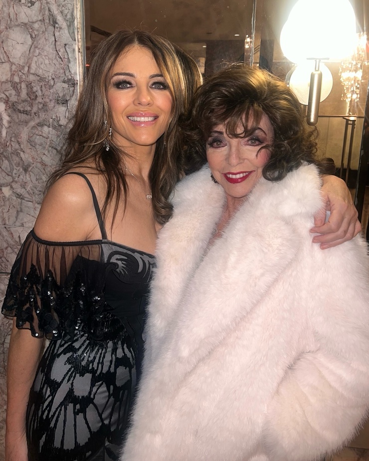 Elizabeth Hurley