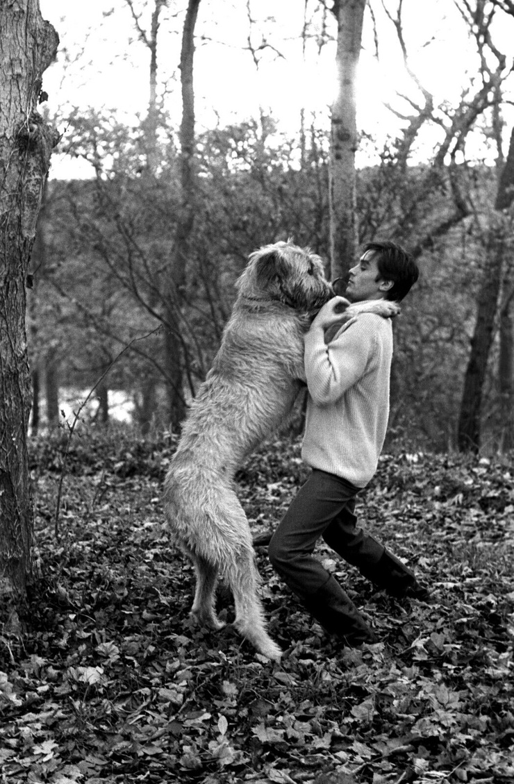 Alain Delon