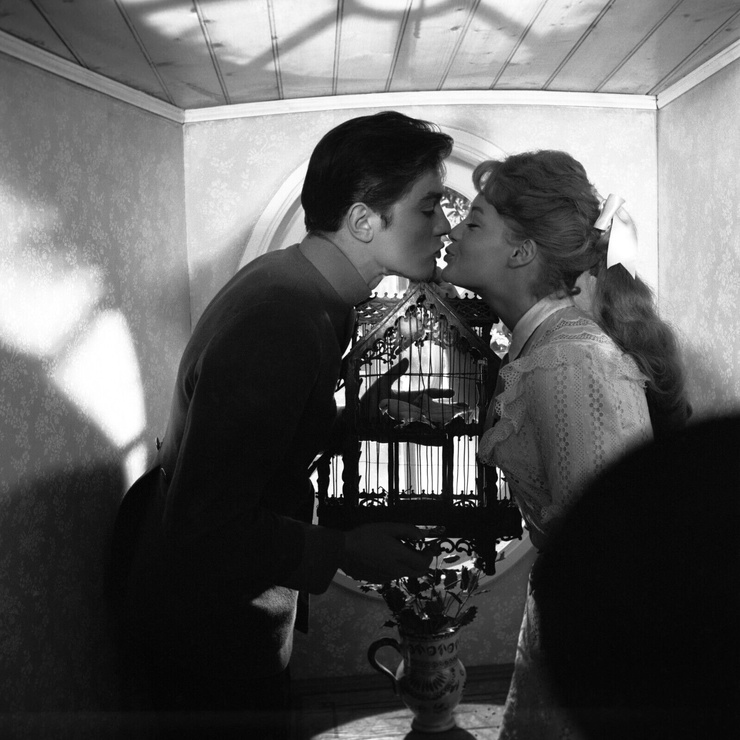 Alain Delon
