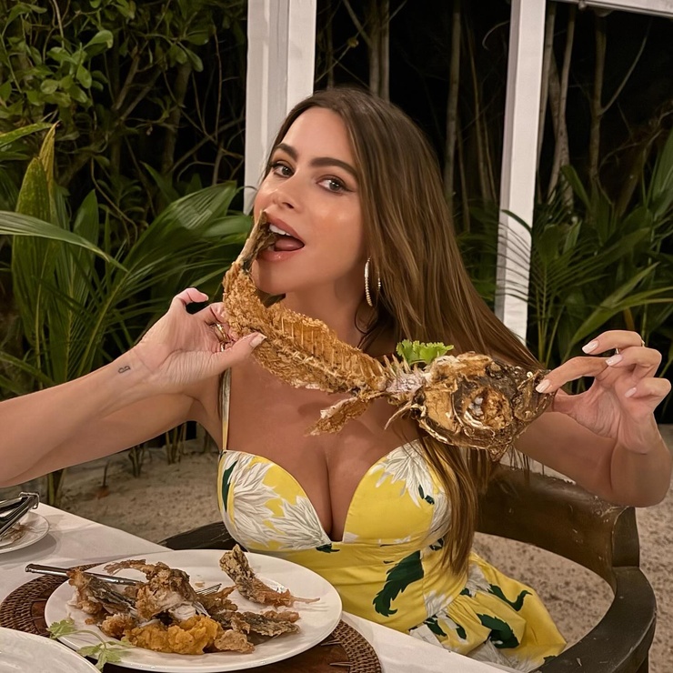 Sofía Vergara