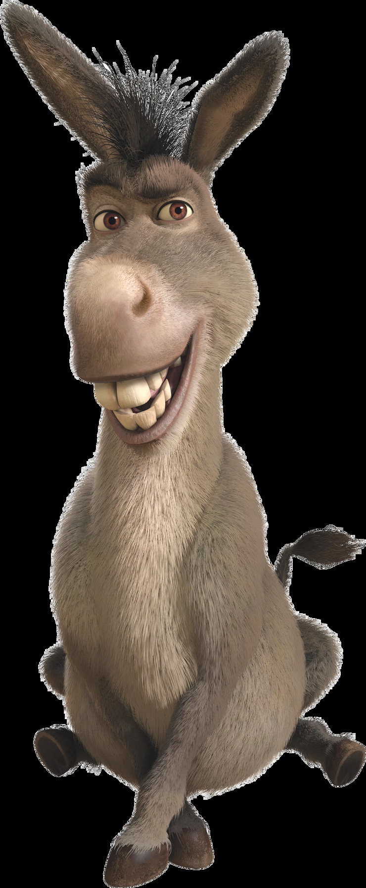 Donkey