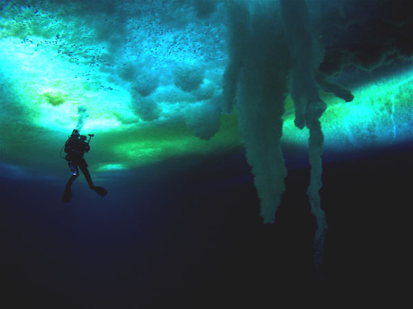 Encounters at the End of the World (2007)