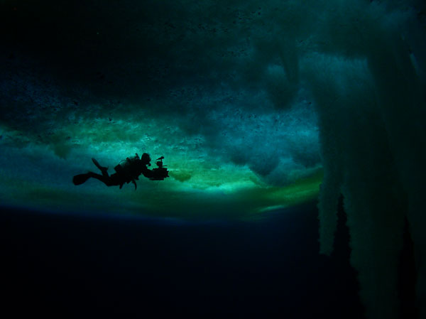 Encounters at the End of the World (2007)