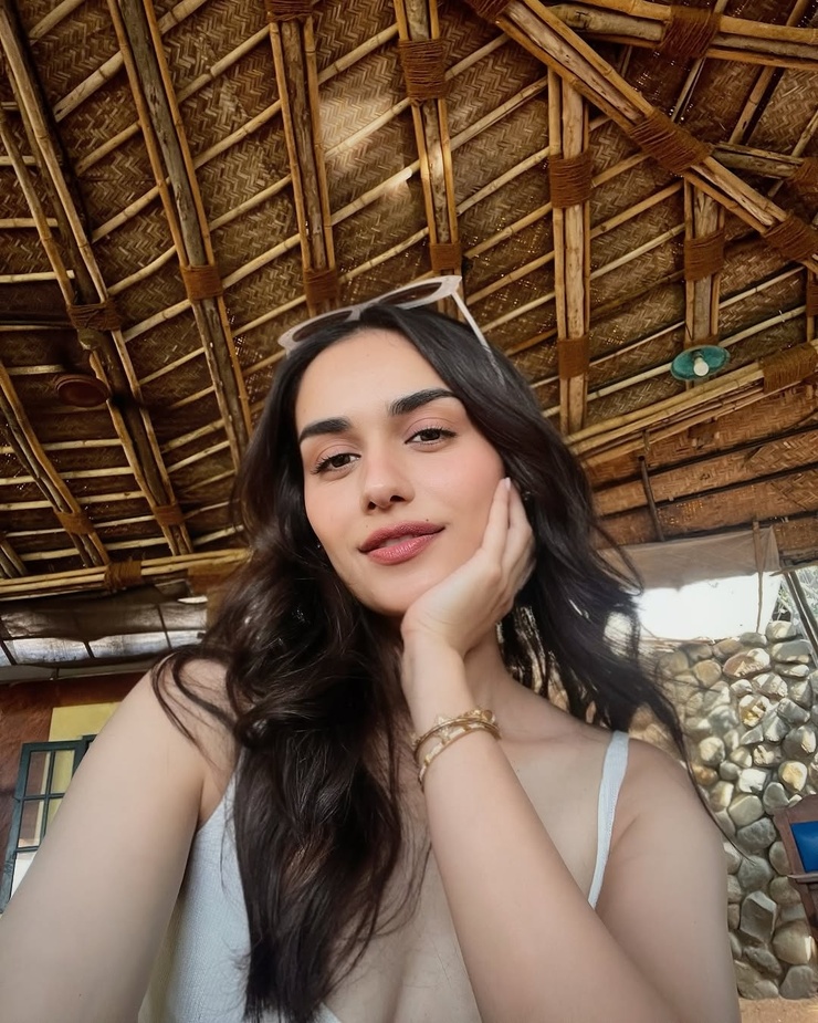 Manushi Chhillar
