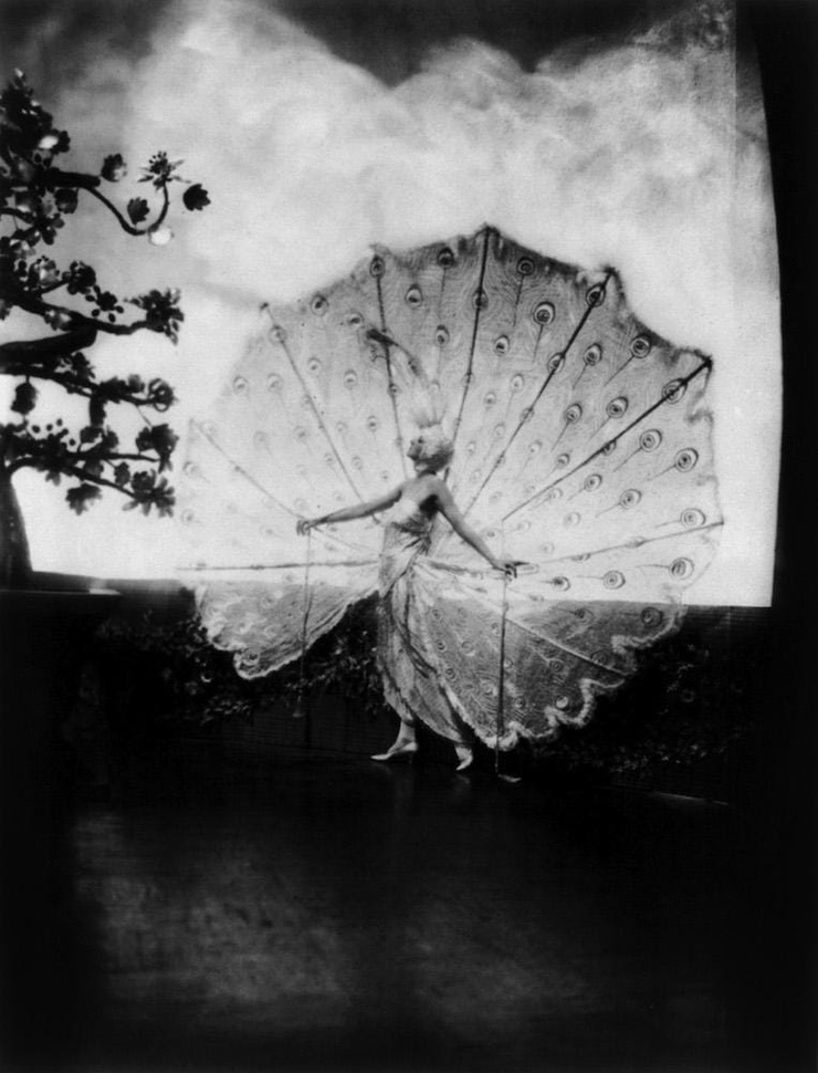 Rose Dolores