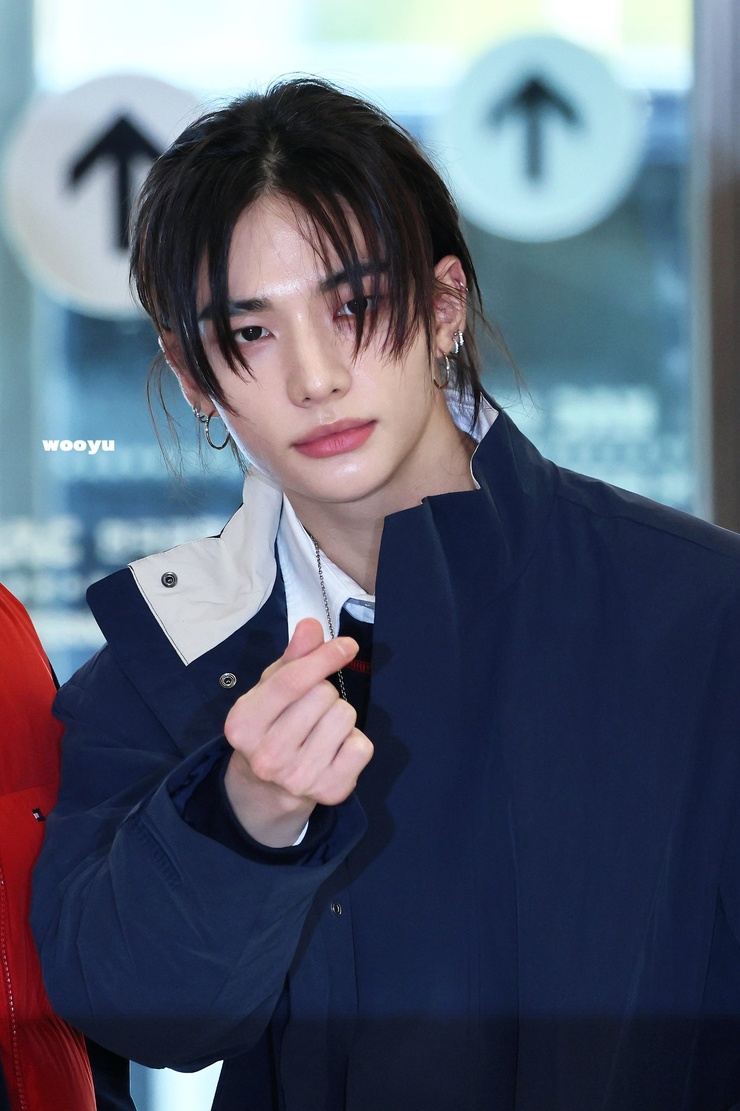Hyun-Jin Hwang