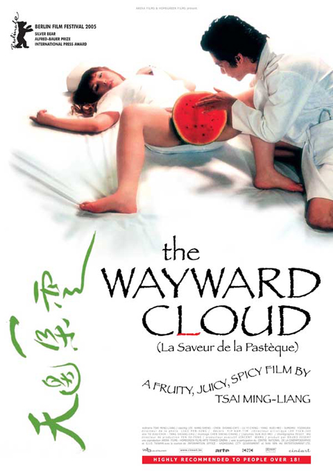 The Wayward Cloud (2005)