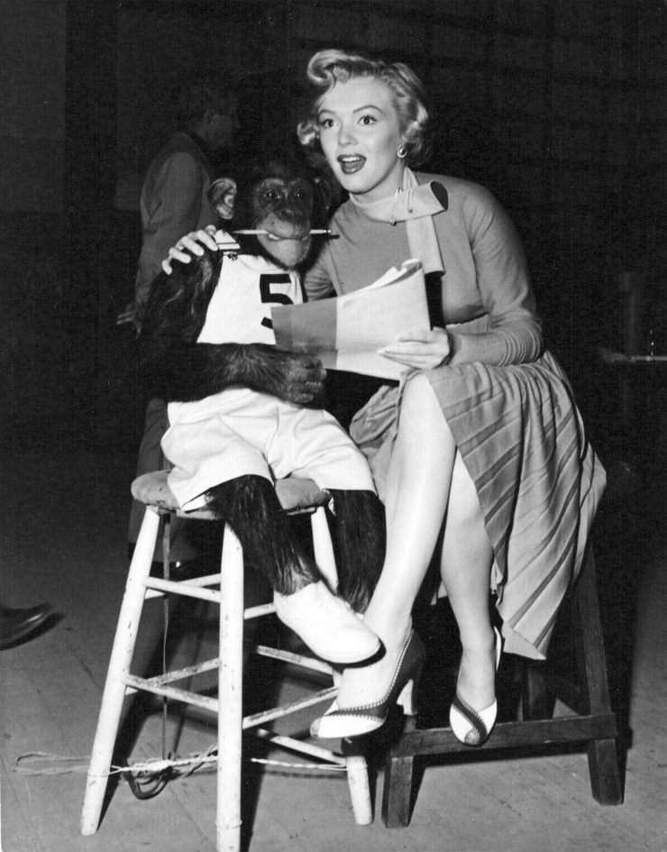 Marilyn Monroe Marilyn Monroe