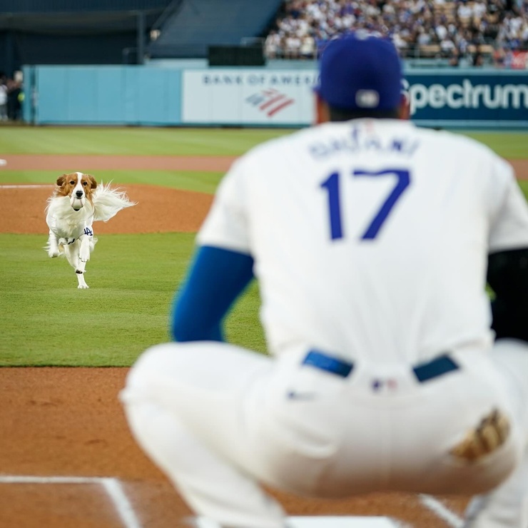 Shohei Ohtani