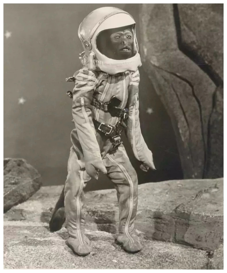 Robinson Crusoe on Mars