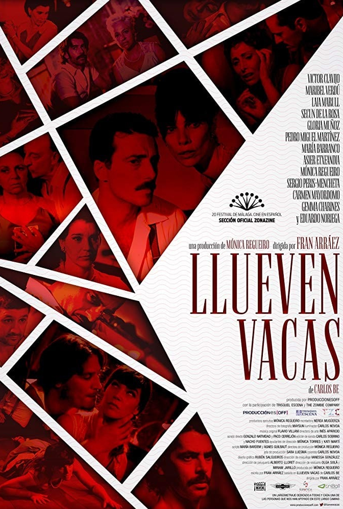 Llueven vacas