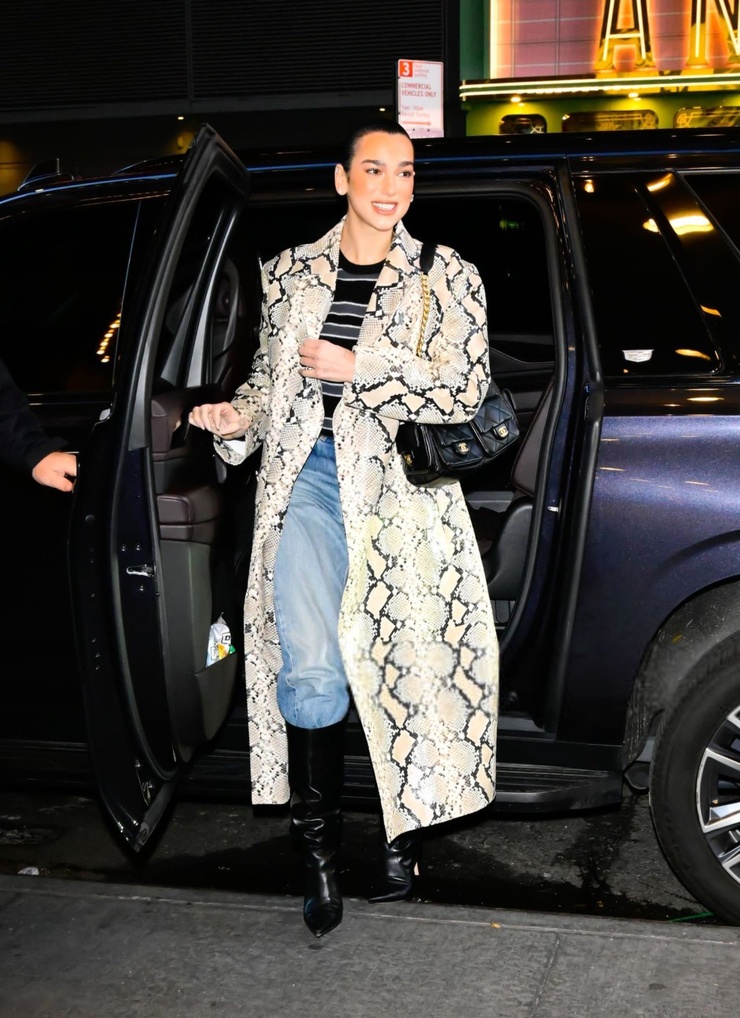 Dua Lipa
