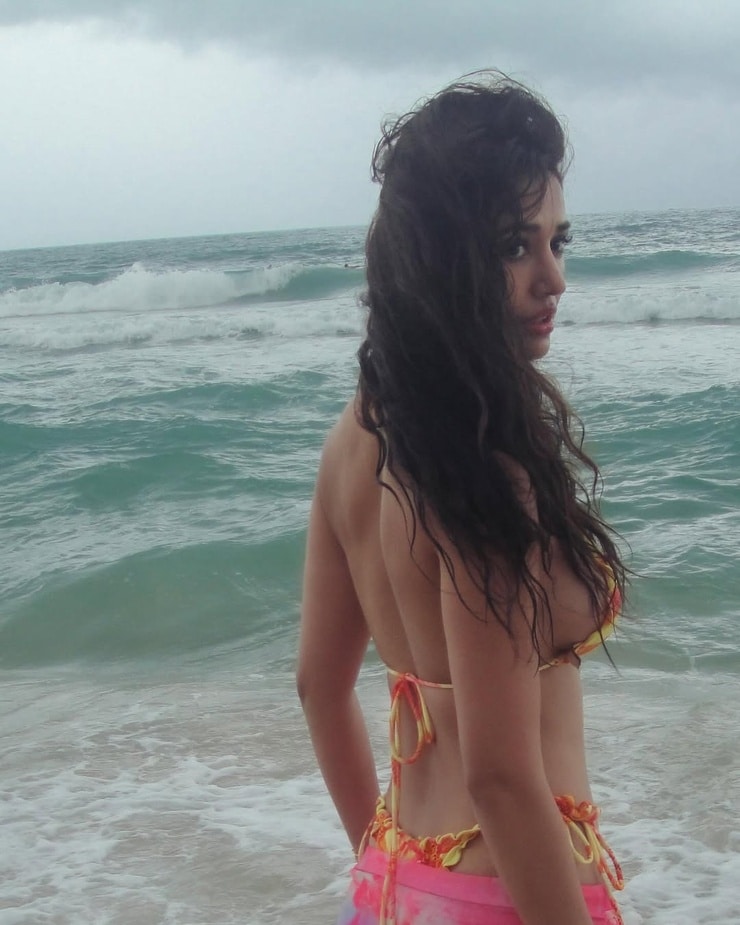Disha Patani Disha Patani