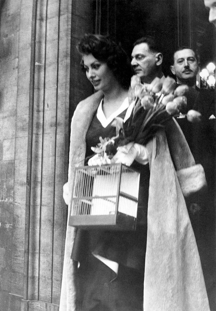 Sophia Loren