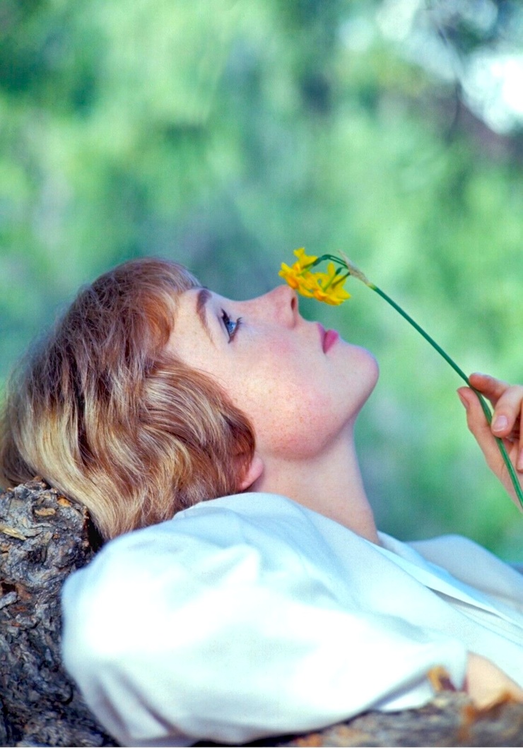 Julie Andrews Julie Andrews