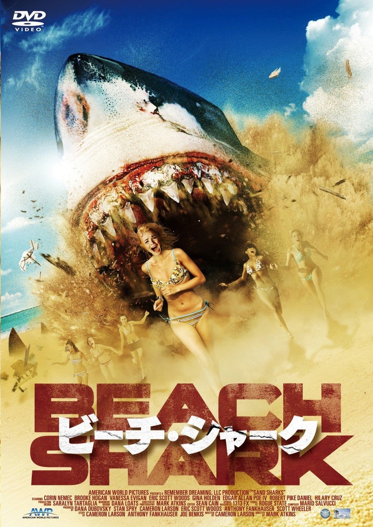 Sand Sharks