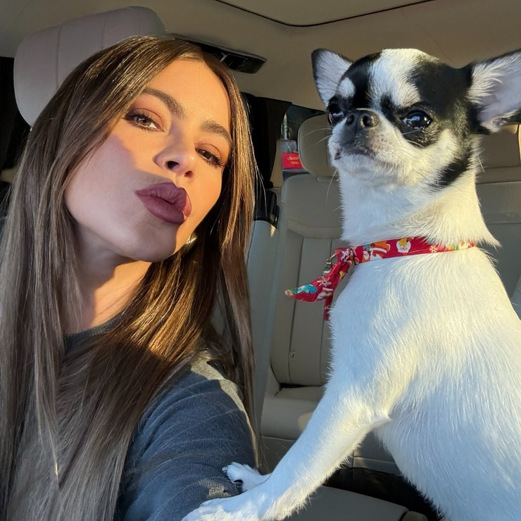 Sofía Vergara