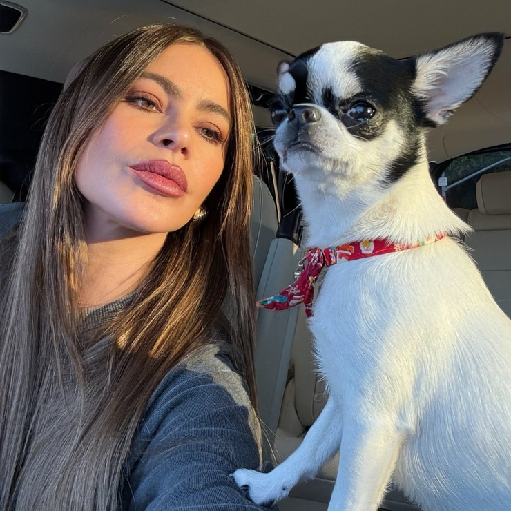 Sofía Vergara