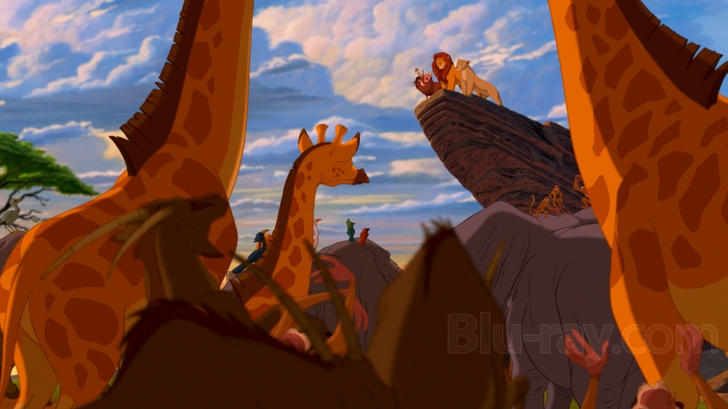 Lion King (Diamond Edition)