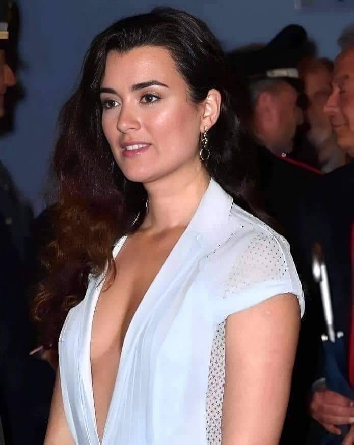picture-of-cote-de-pablo