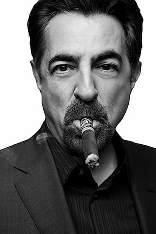 Joe Mantegna