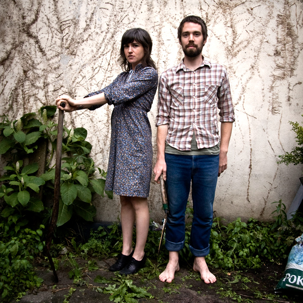 Bowerbirds