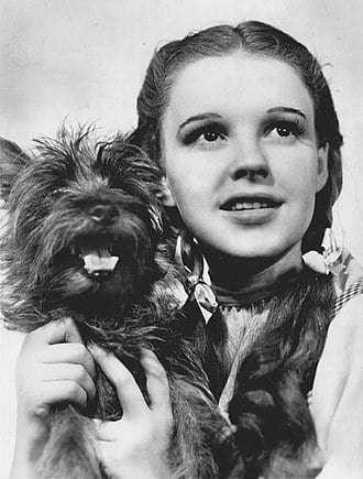 Judy Garland Judy Garland