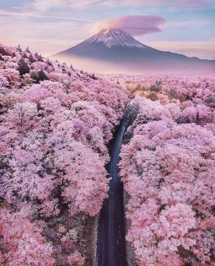 Japan 日本国 Japan 日本国
