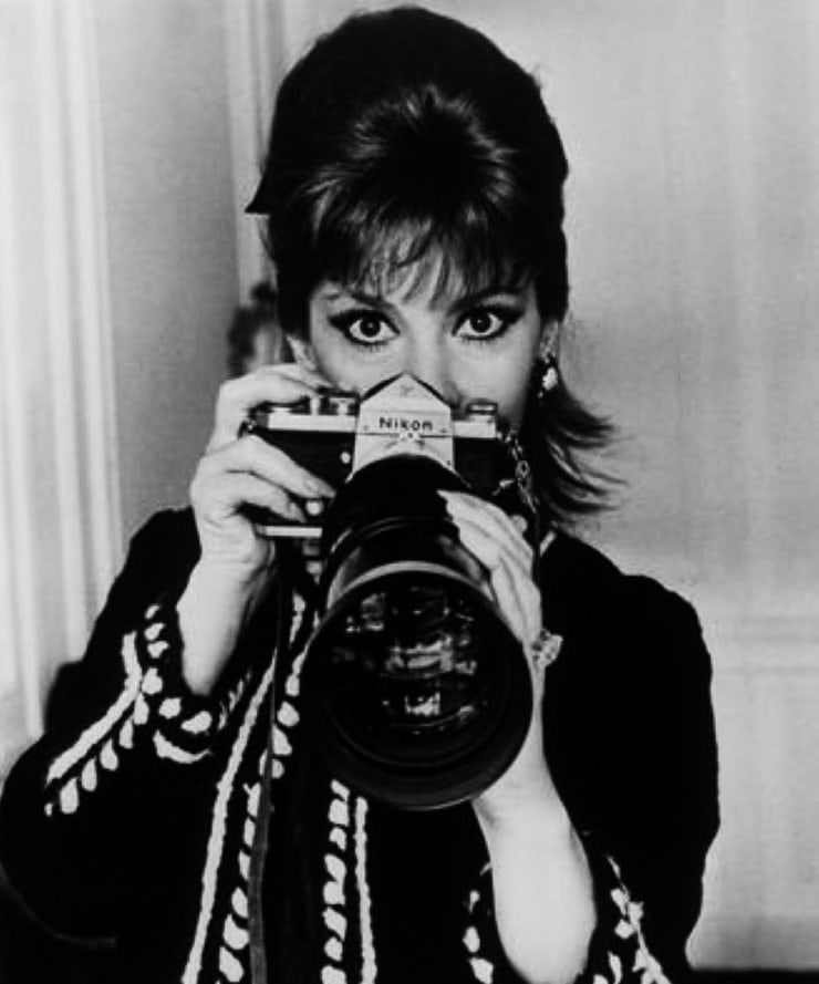 Gina Lollobrigida Gina Lollobrigida