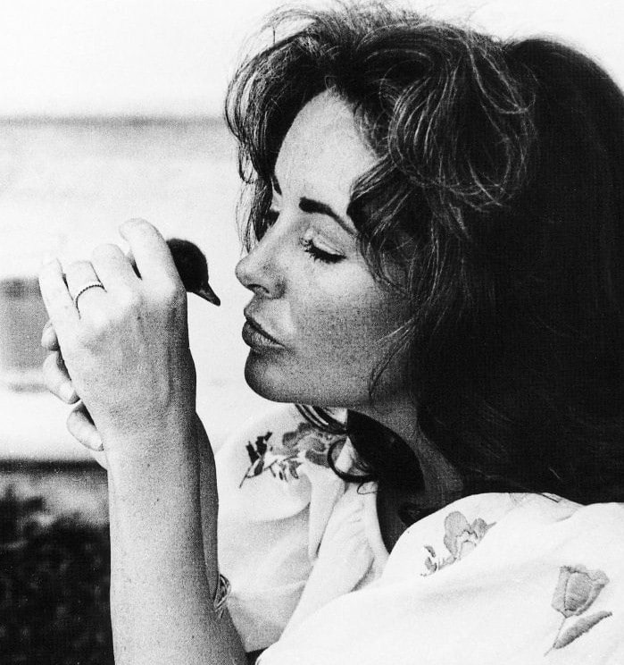 Elizabeth Taylor