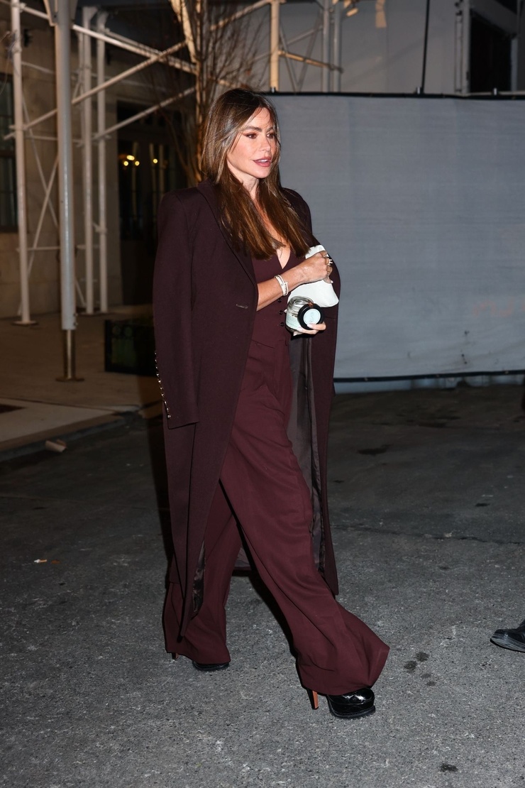Sofía Vergara