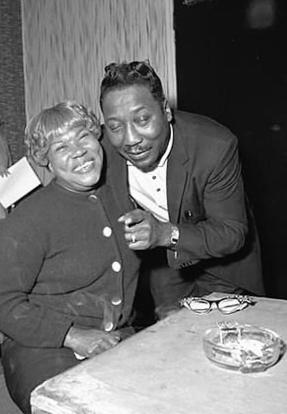 Muddy Waters
