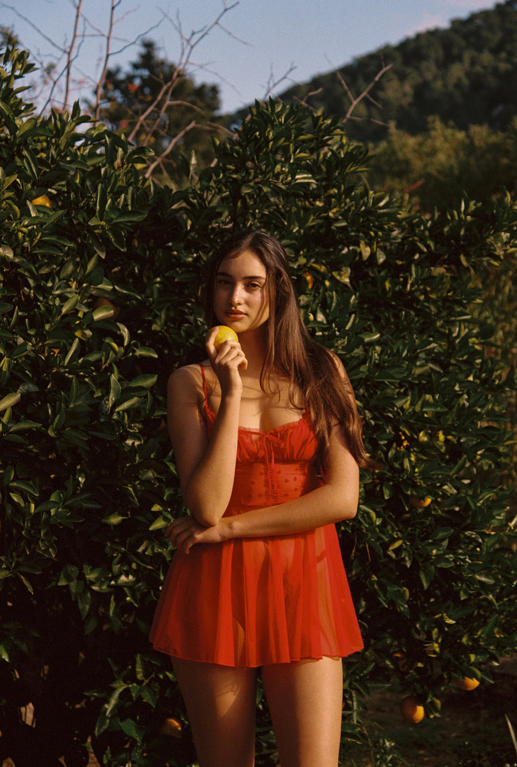 Picture of Shana Koehler