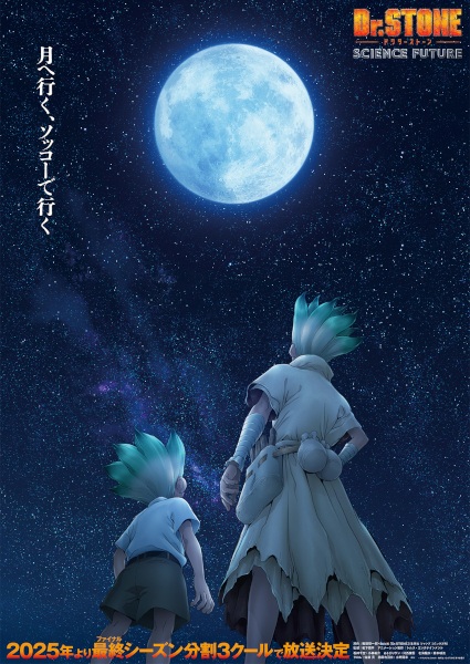 Dr. Stone