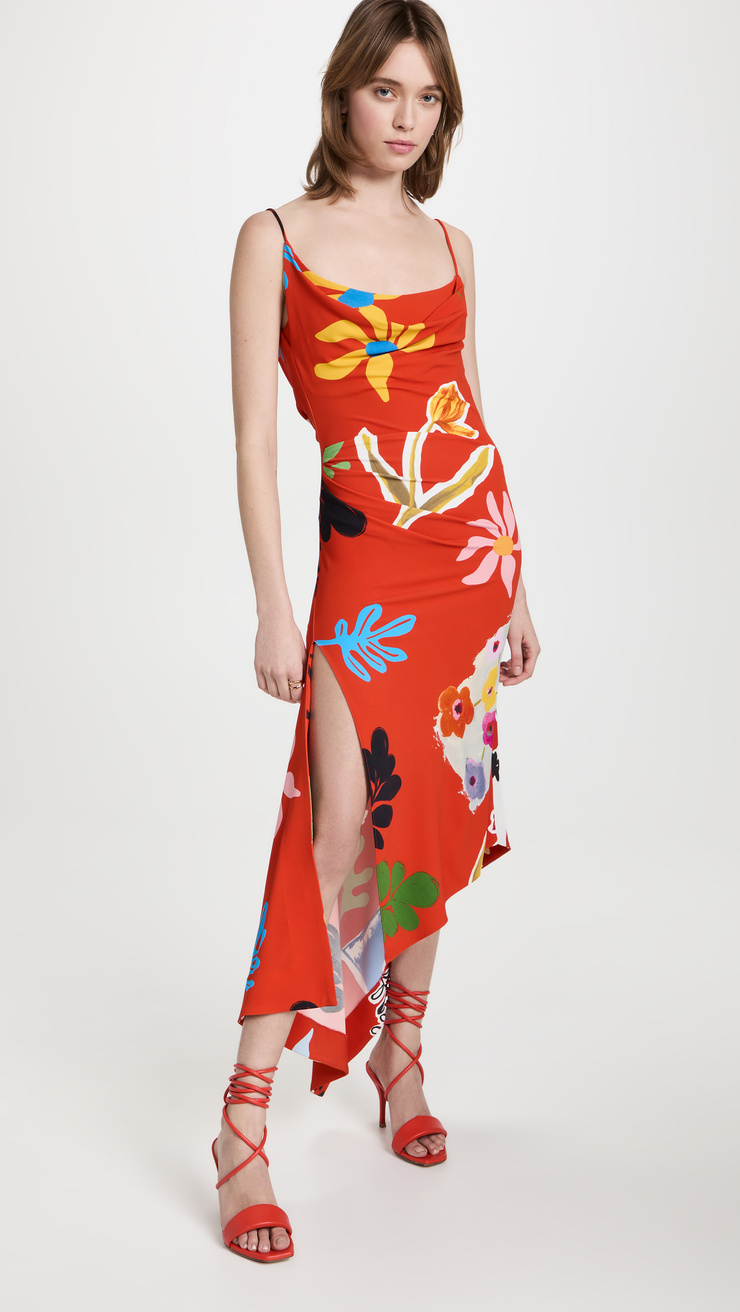 Lily Flowers