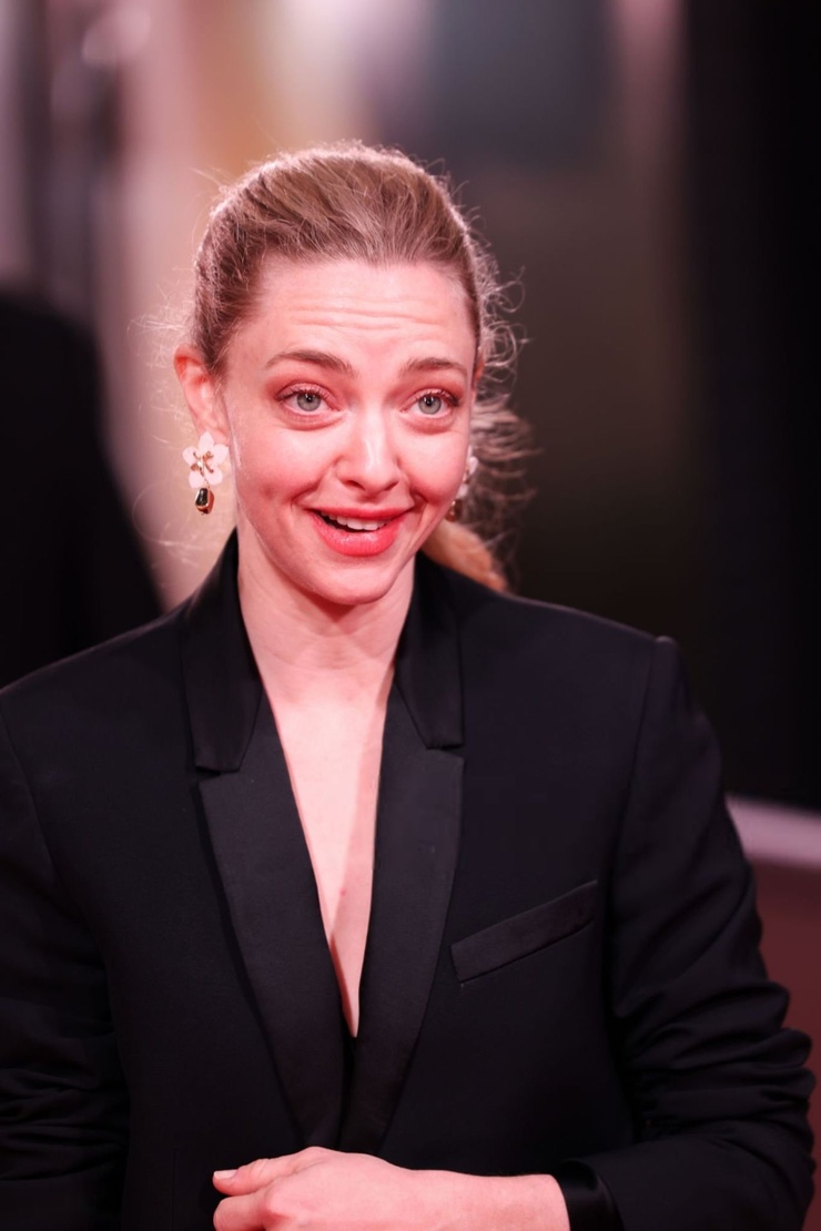 Amanda Seyfried image