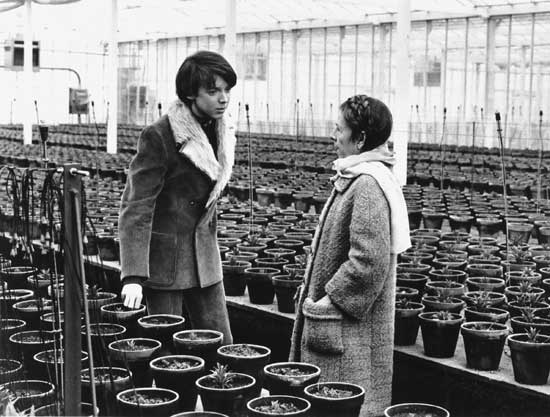 Harold and Maude