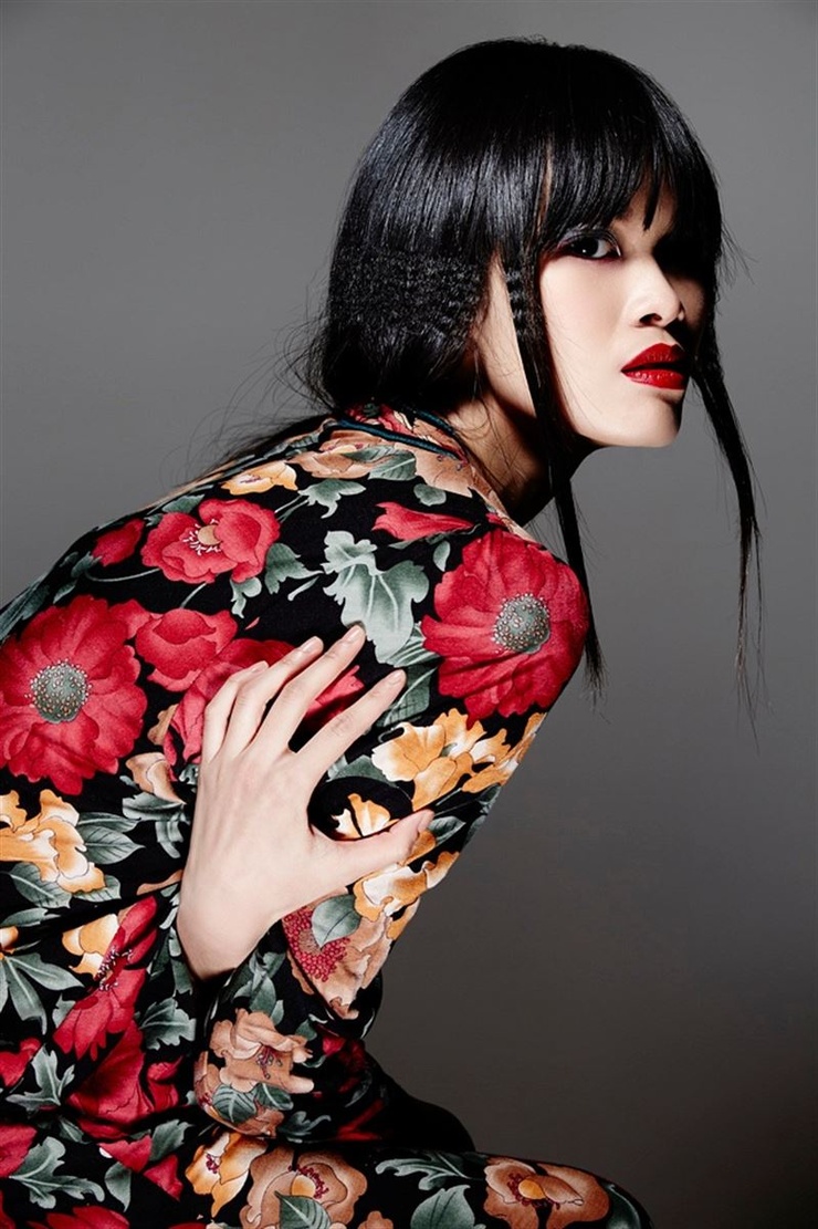 Chi Nguyen model